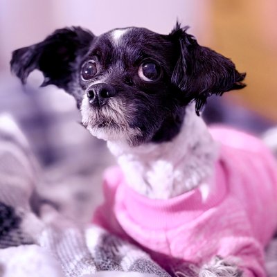 2025-10-16 10-28-14.jpg